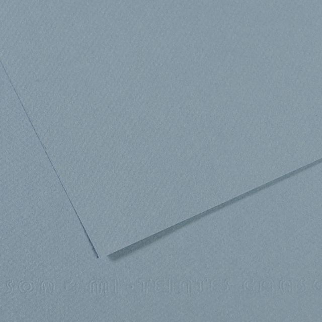 MI-TEINTES 490 LIGHT BLUE 8.5X11